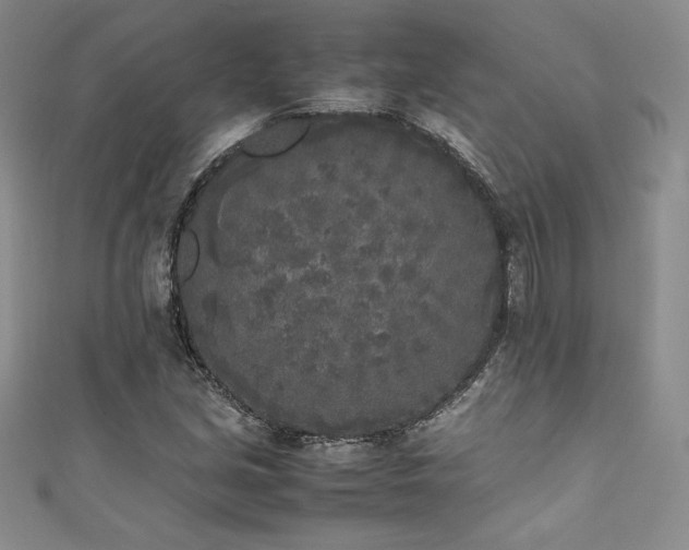 X0000111531213200907141521