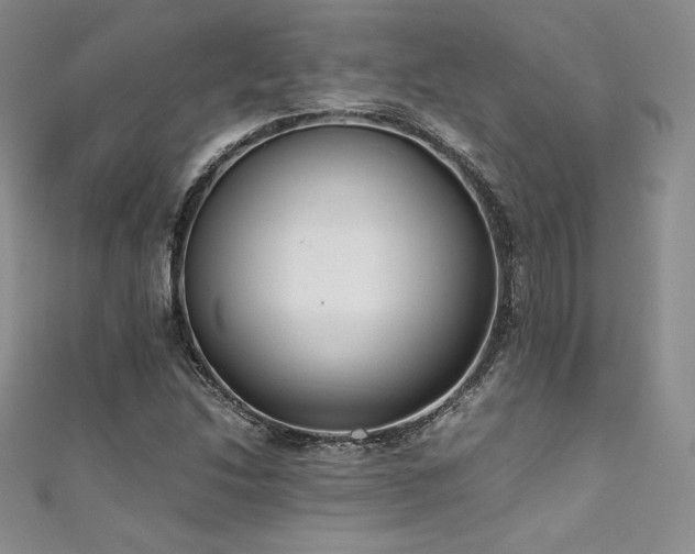 X0000111531214200907141521