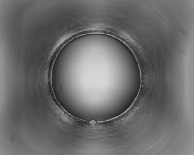 X0000111531216200907141521