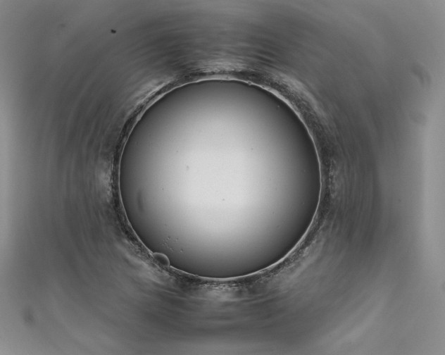 X0000111531217200907141521