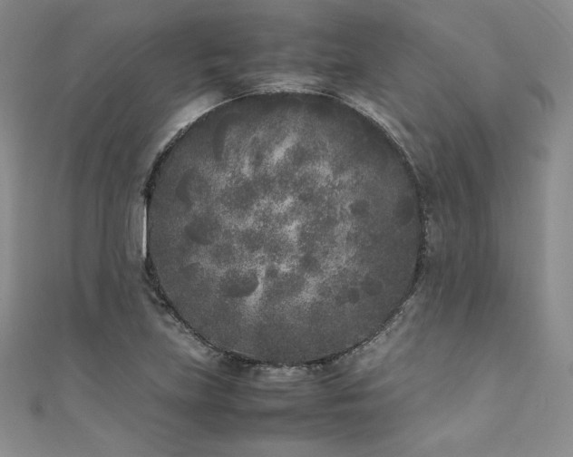 X0000111531219200907141521