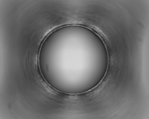 X0000111531220200907141521