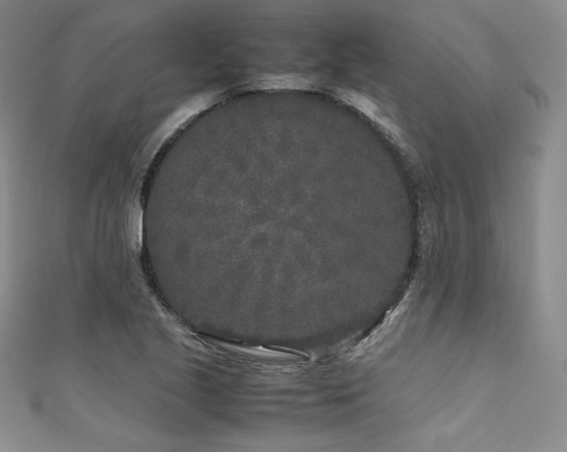 X0000111531221200907141521