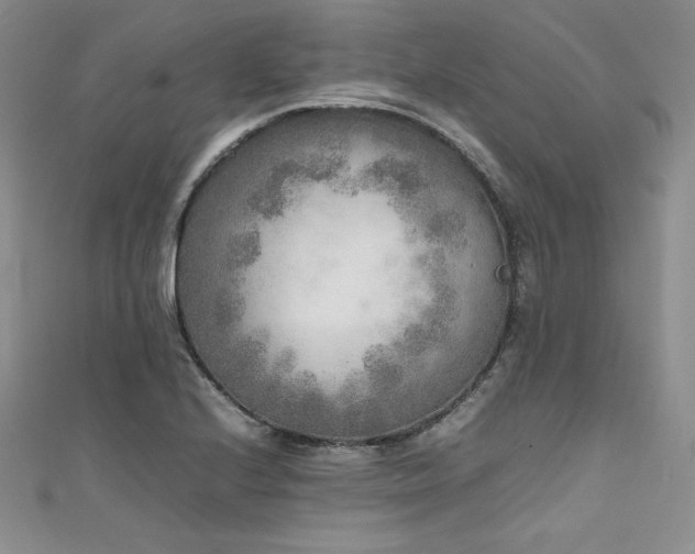 X0000111531224200907141521