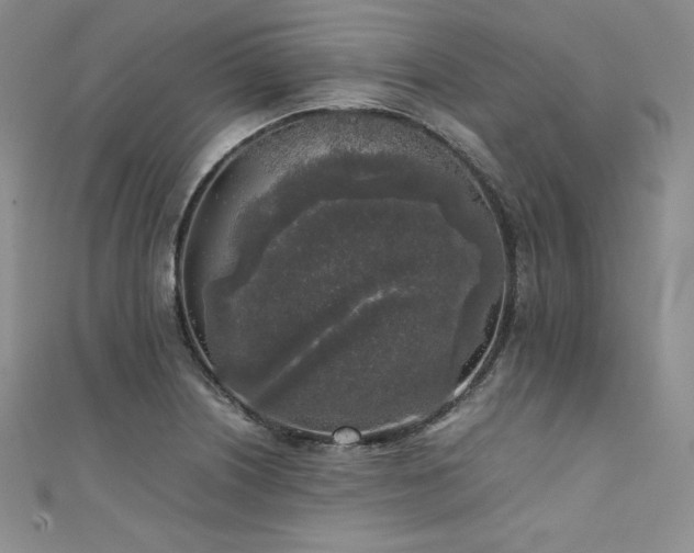 X0000111531226200907141521