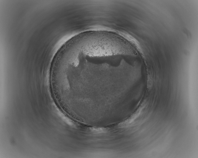 X0000111531231200907141521