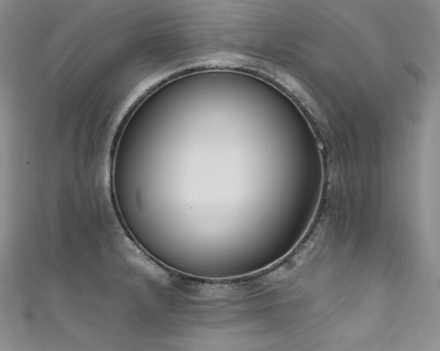 X0000111531232200907141521