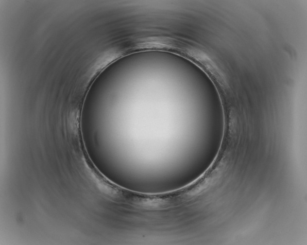 X0000111531233200907141521