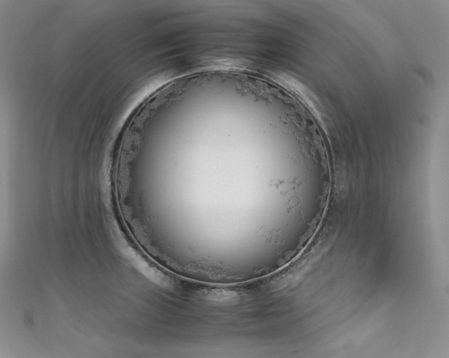 X0000111531235200907141521