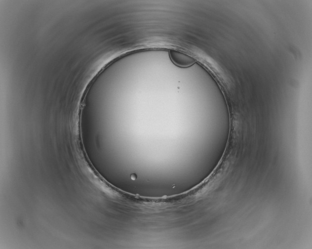 X0000111531236200907141521