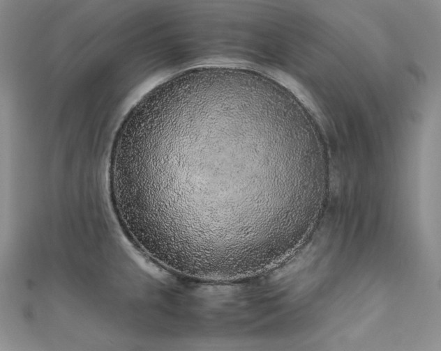 X0000111531237200907141521