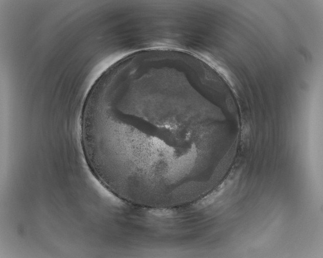 X0000111531239200907141521