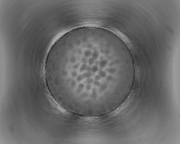 X0000111531240200907141521