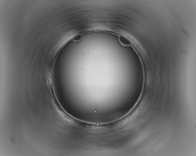 X0000111531241200907141521