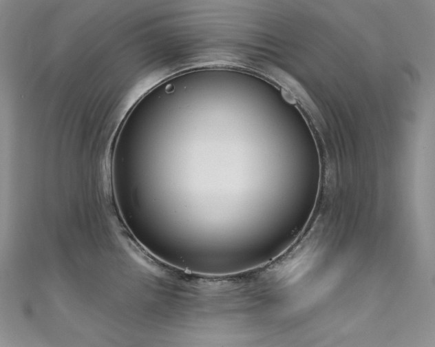 X0000111531242200907141521