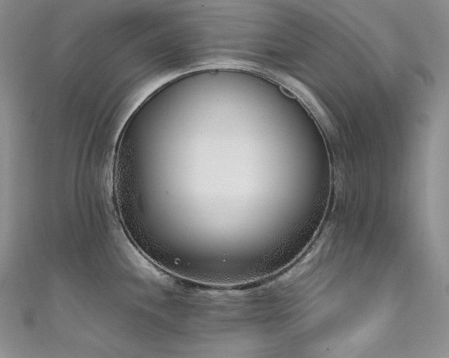 X0000111531244200907141521