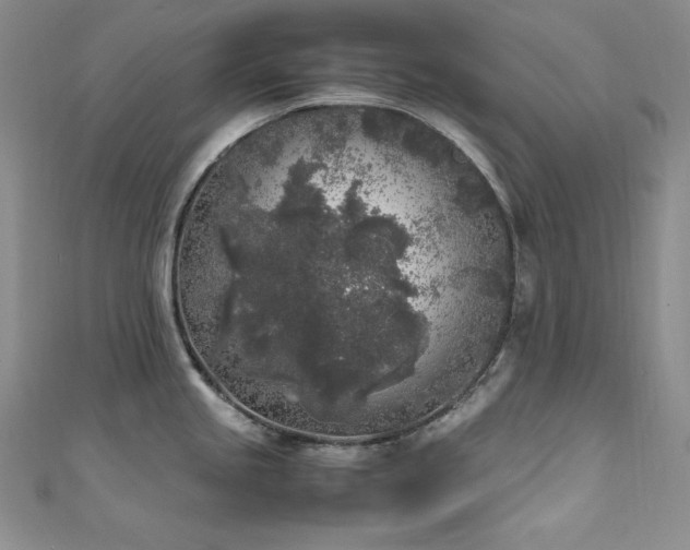 X0000111531245200907141521