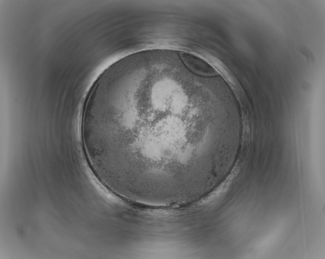 X0000111531246200907141521