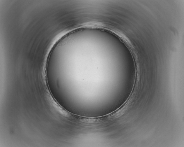 X0000111531248200907141521