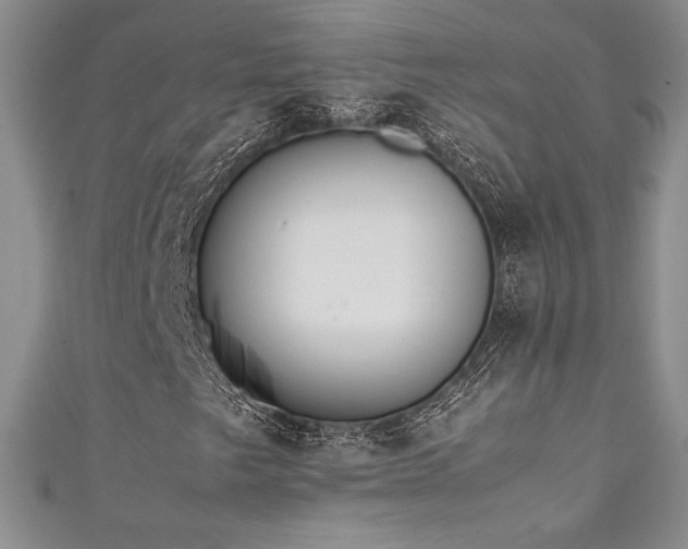 X0000111531249200907141521