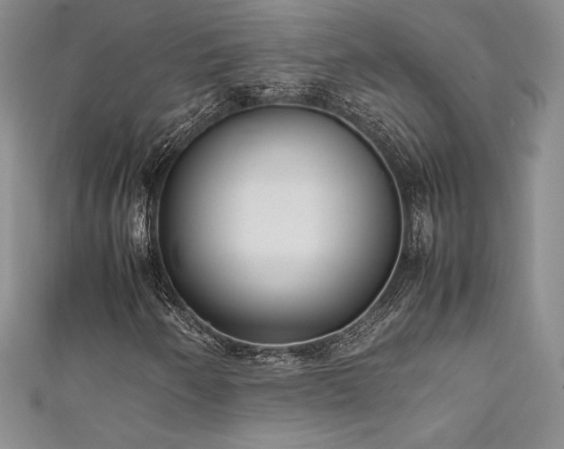 X0000111531250200907141521