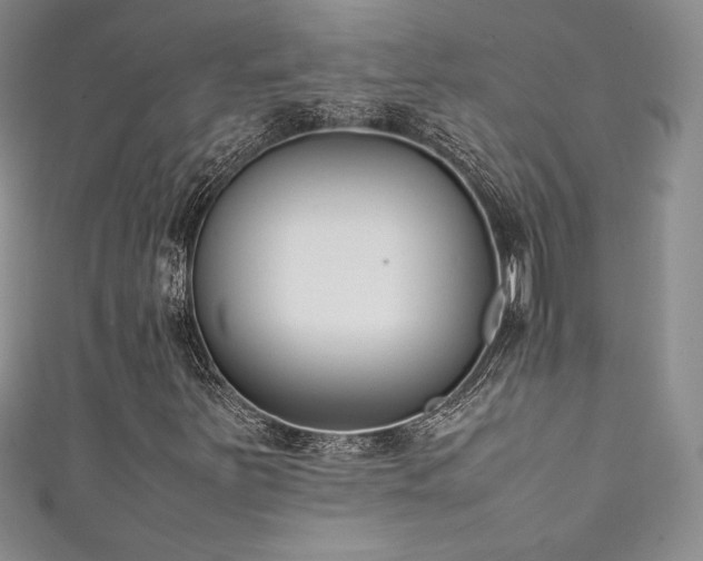 X0000111531251200907141521