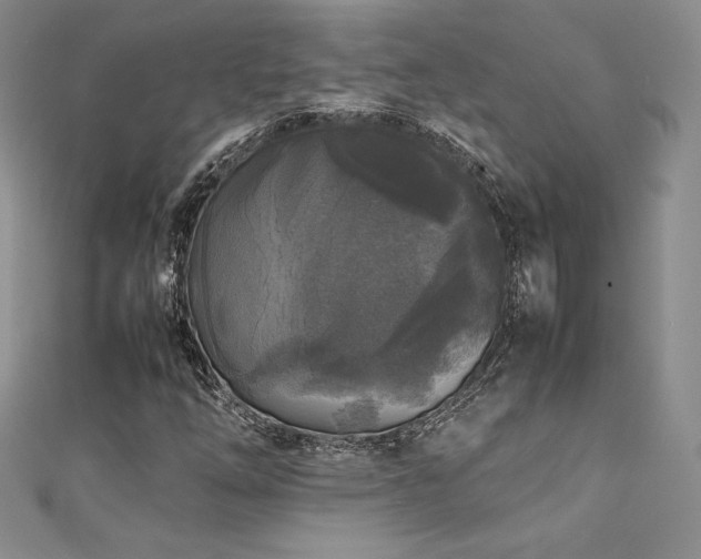 X0000111531254200907141521