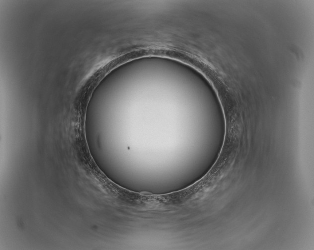 X0000111531255200907141521