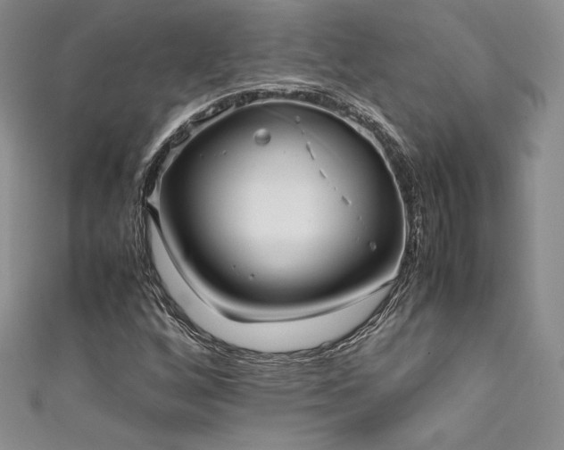 X0000111531256200907141521