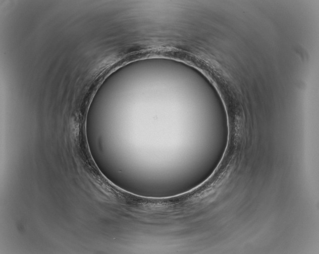 X0000111531257200907141521