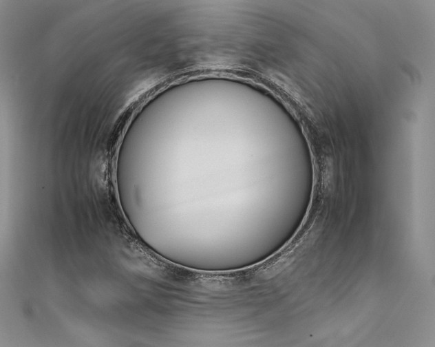 X0000111531258200907141521