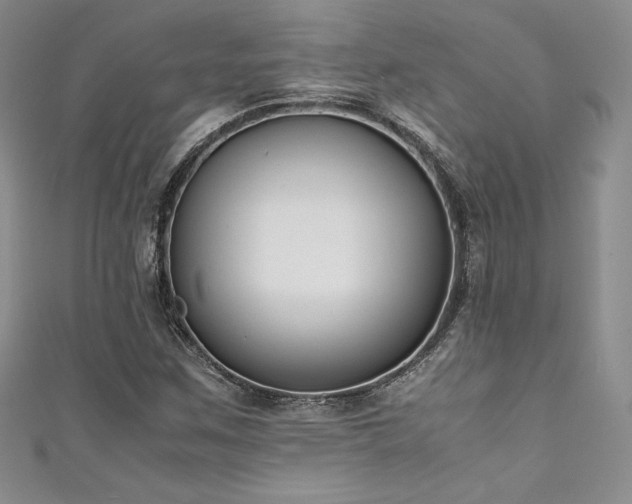 X0000111531259200907141521