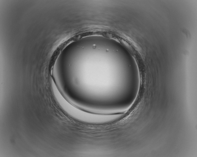 X0000111531261200907141521