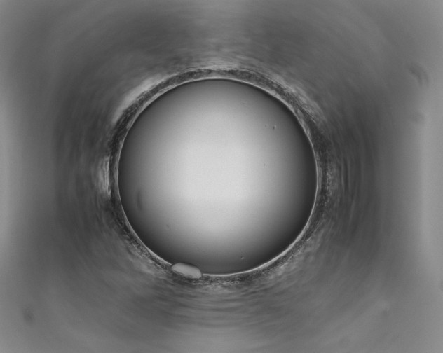 X0000111531262200907141521