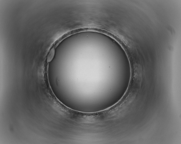 X0000111531264200907141521