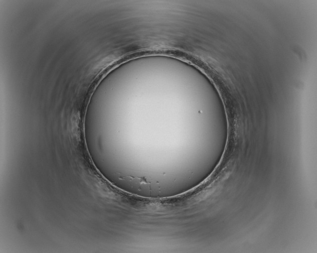 X0000111531265200907141521