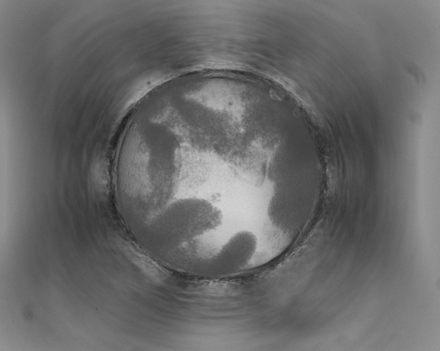 X0000111531266200907141521