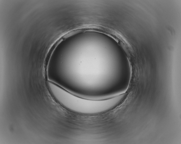 X0000111531268200907141521