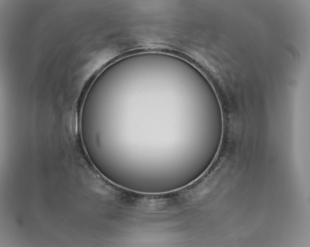 X0000111531269200907141521