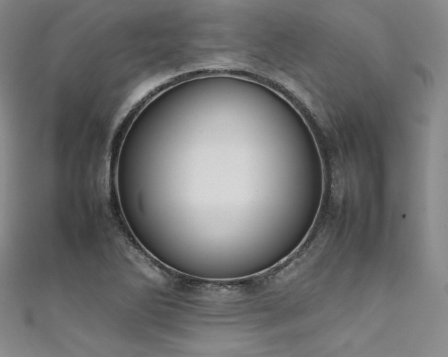 X0000111531270200907141521