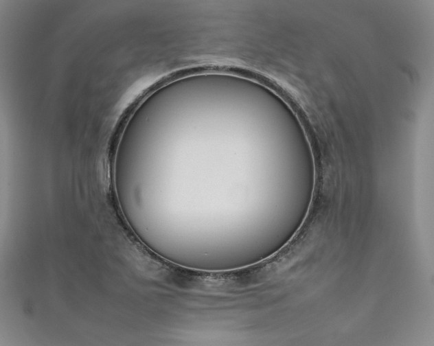 X0000111531271200907141521