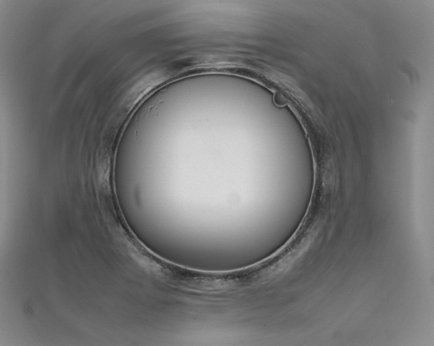 X0000111531273200907141521