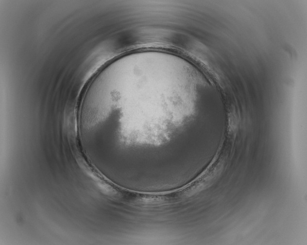 X0000111531274200907141521