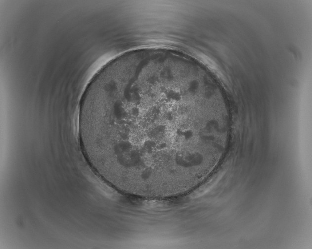 X0000111531275200907141521