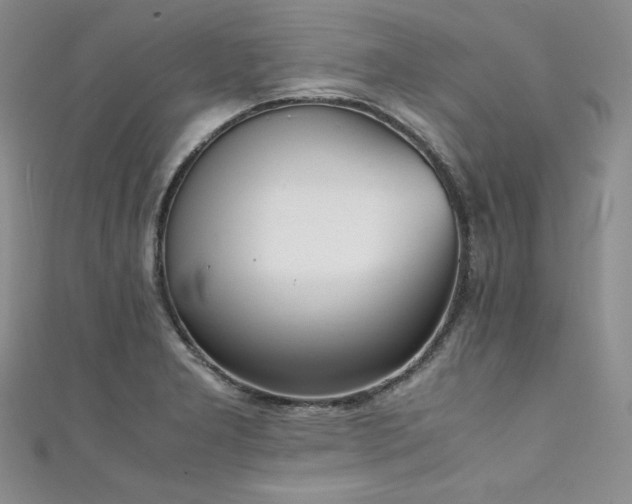 X0000111531277200907141520