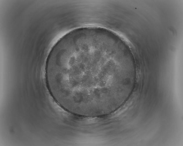 X0000111531279200907141520