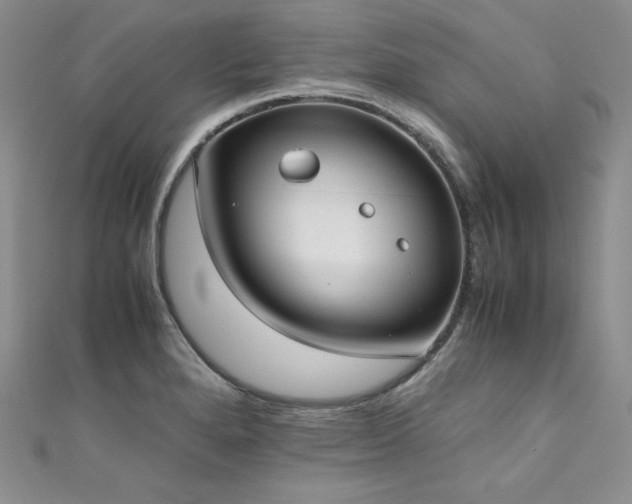 X0000111531280200907141520