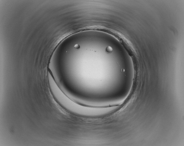 X0000111531281200907141520