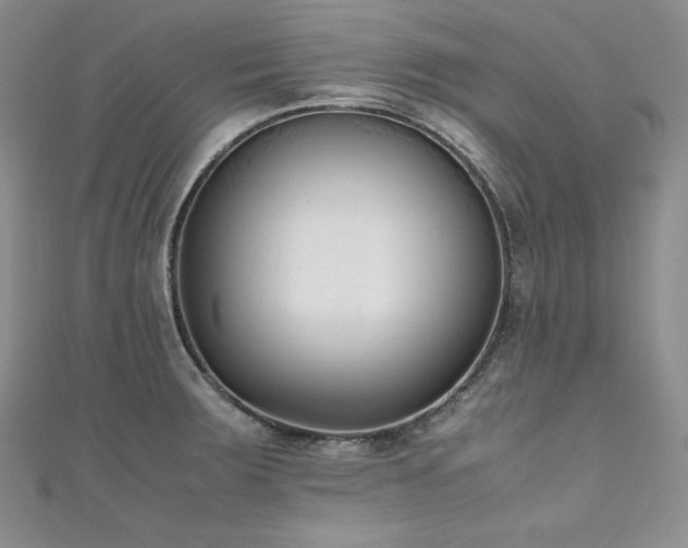 X0000111531283200907141520