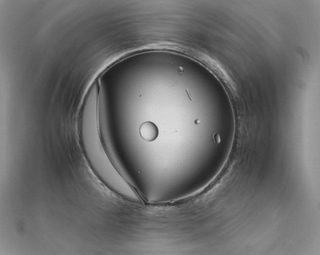 X0000111531284200907141520